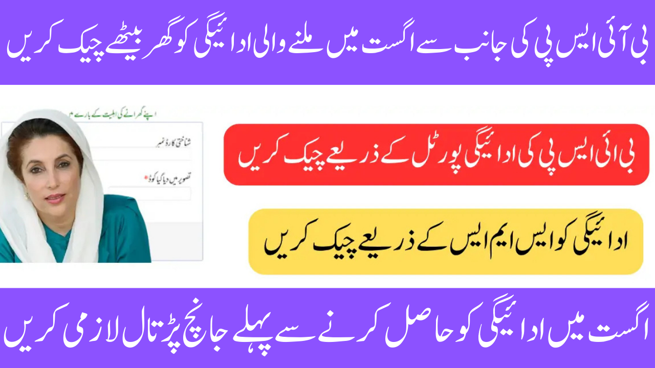 BISP 8171 August 2025 Payment Check: A Comprehensive Guide to Using the Online Portal and SMS