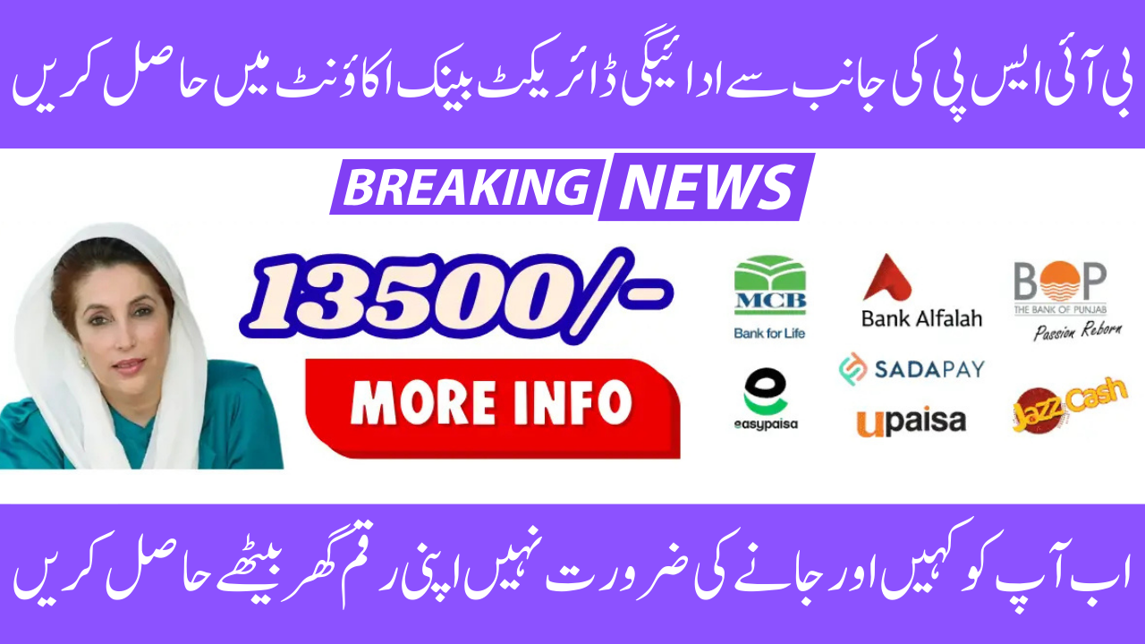 BISP 8171 Payment Verification Process