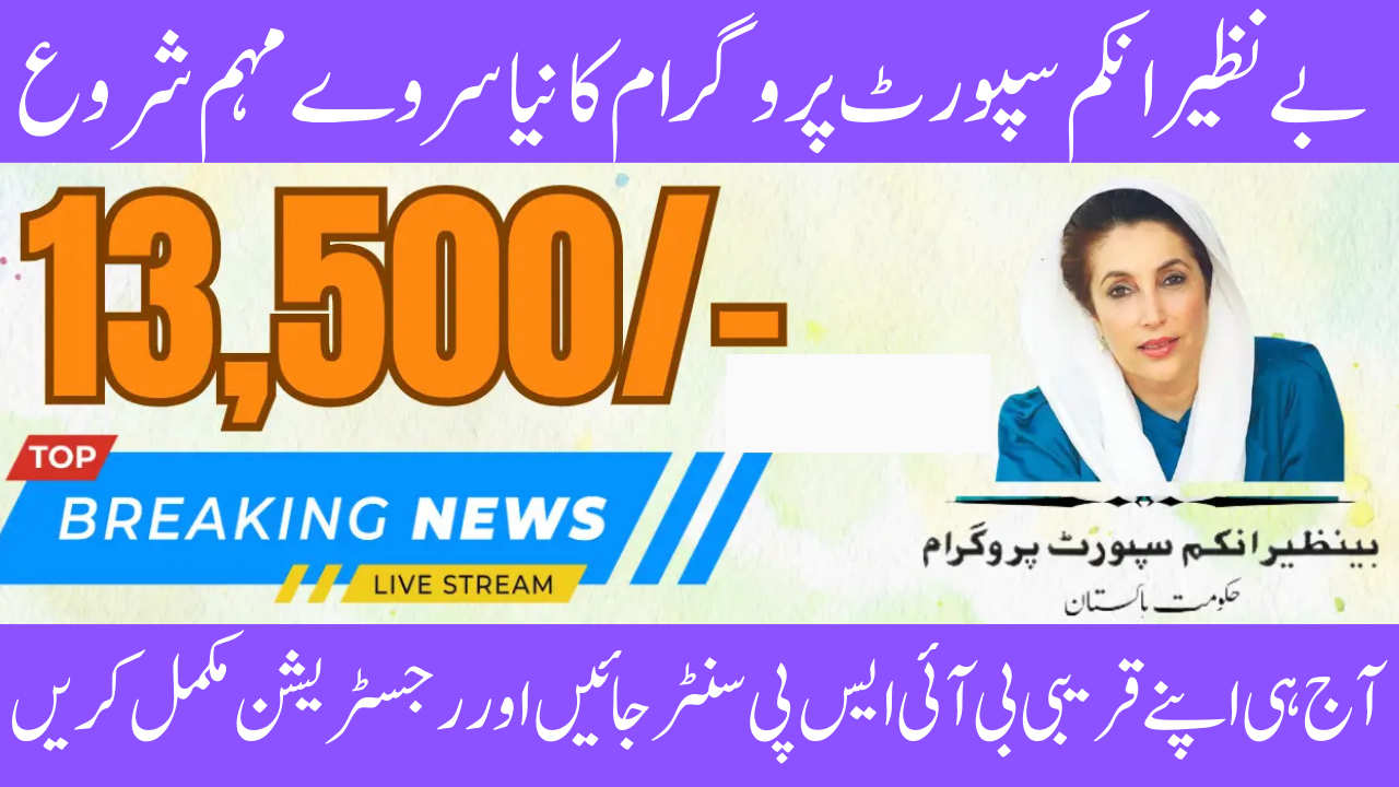 NSER Survey BISP August Campaign Check procedure Step-by-Step