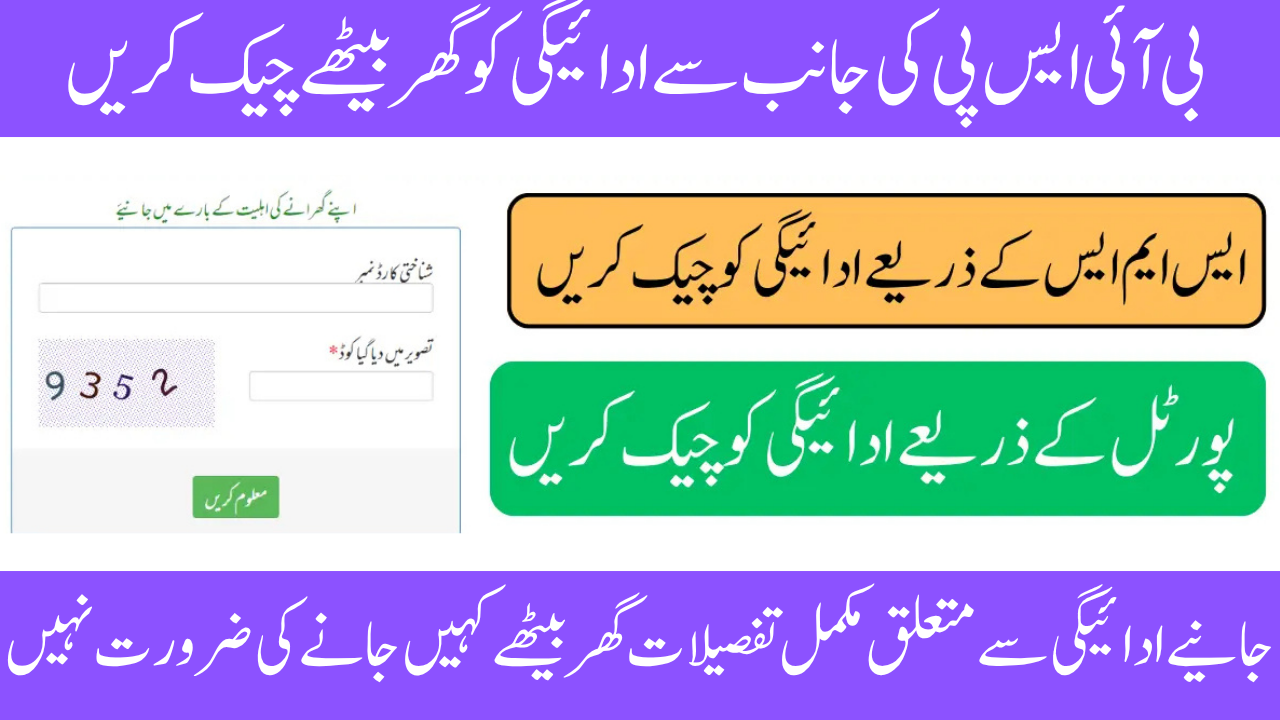 Check Your BISP 8171 Results Online With CNIC Complete Guide 2025